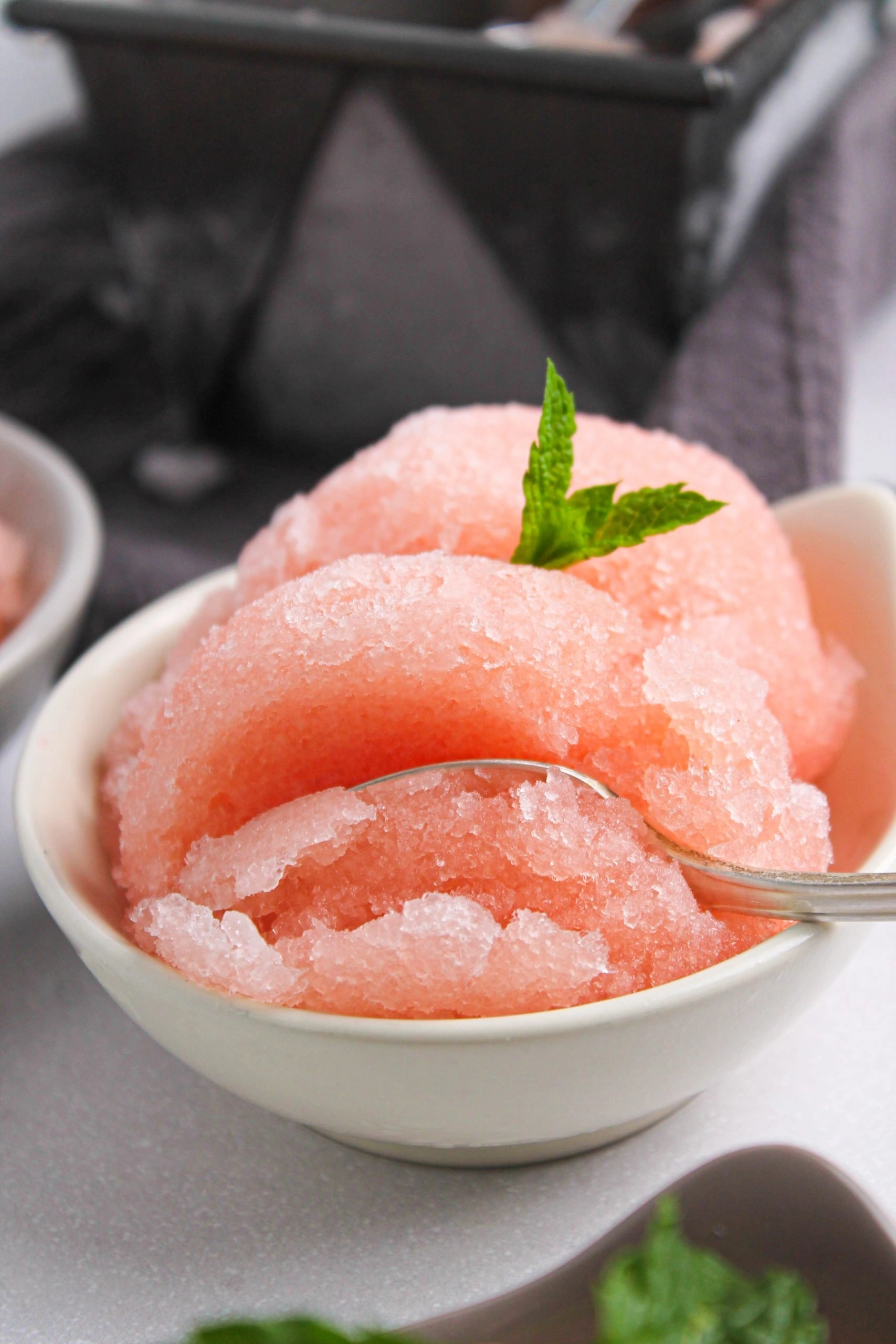 Grapefruit Sorbet